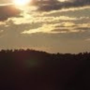 Meet your Posher, Shelly